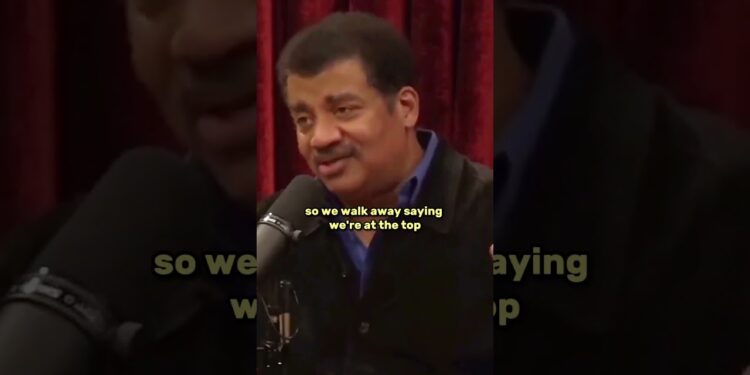 Largest Mind Among Creatures😲 – Joe Rogan