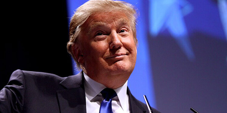 COMMENTARY: Trump’s Secret Weapon: Stupidity